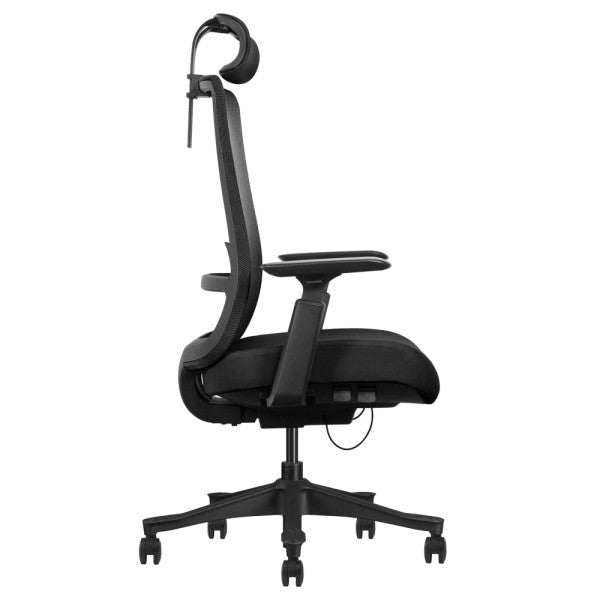 SKILLCHAIRS Ergo Diva SKILLCHAIRS Ergo Diva